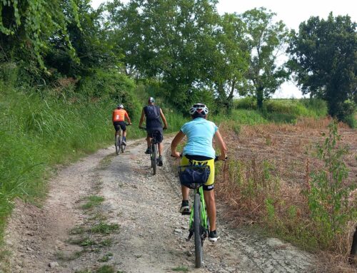 2024/10/13 – Pedalata Cicloturistica tra Andezeno e Pino Torinese (TO)