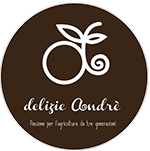 delizia andre logo
